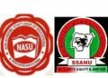 Strike: SSANU, NASU give Nigerian Govt seven-say ultimatum