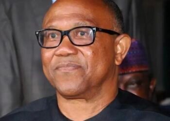 2027-Peter Obi won’t contest, only enjoying media attention – LP Secretary